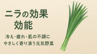 やさしく元気に!「ニラ」のうれしい効果と効能